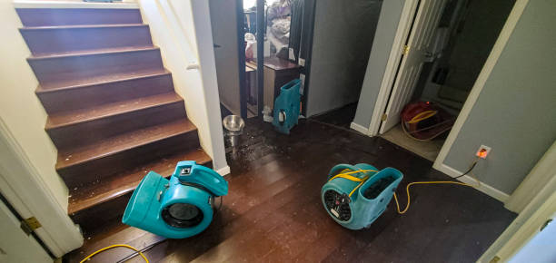 Best Professional water damage repair  in Park City, IL