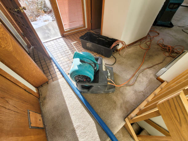 Best Emergency water damage restoration  in Park City, IL