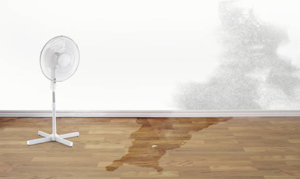 Best Fire Damage Restoration  in Park City, IL