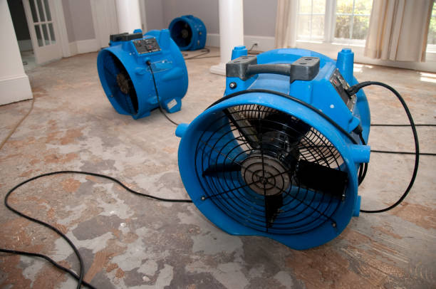 Best Mold removal after water damage  in Park City, IL